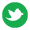 twitter icon